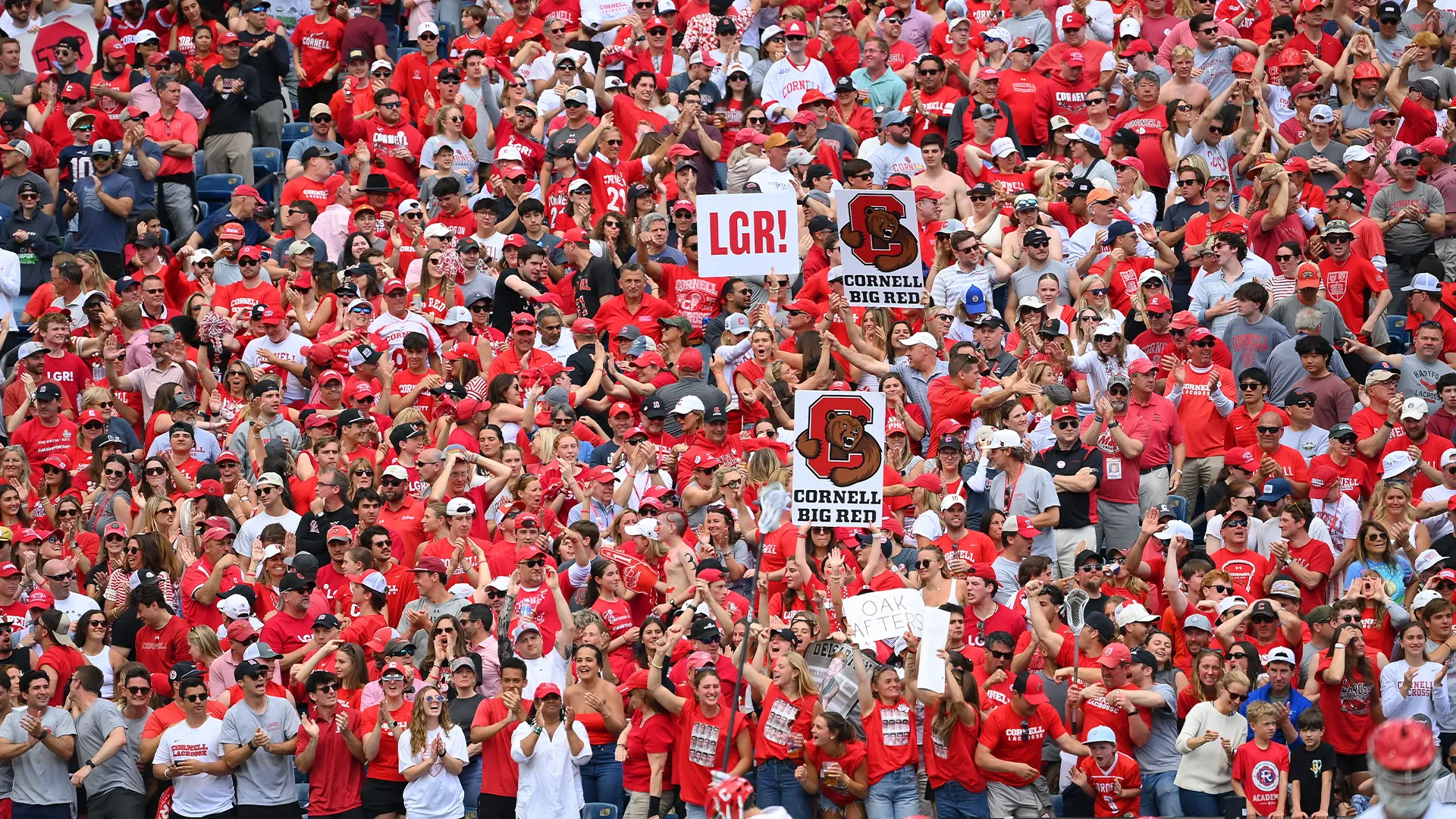 Cornell's crowd at the title game