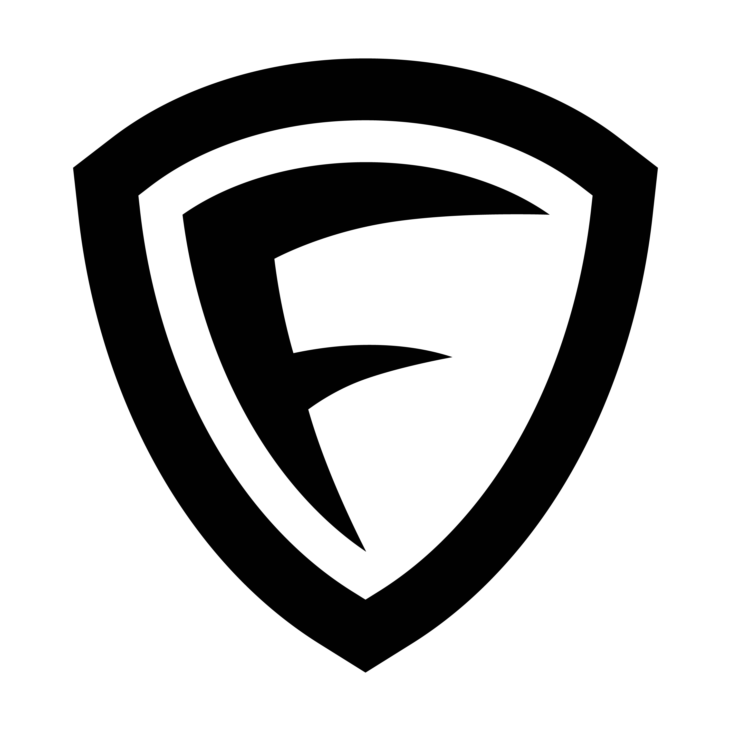 Partner 1