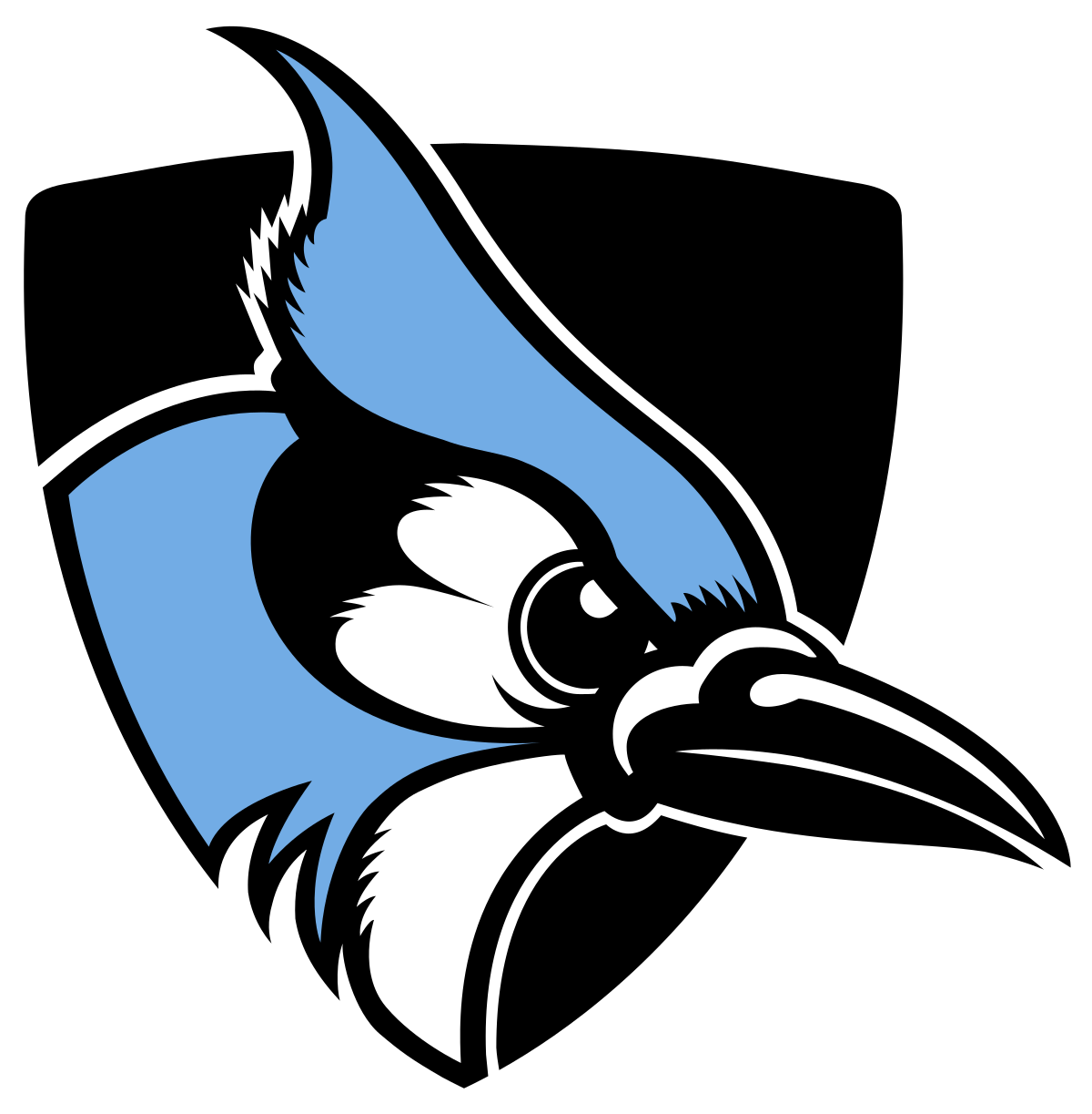 Johns Hopkins logo