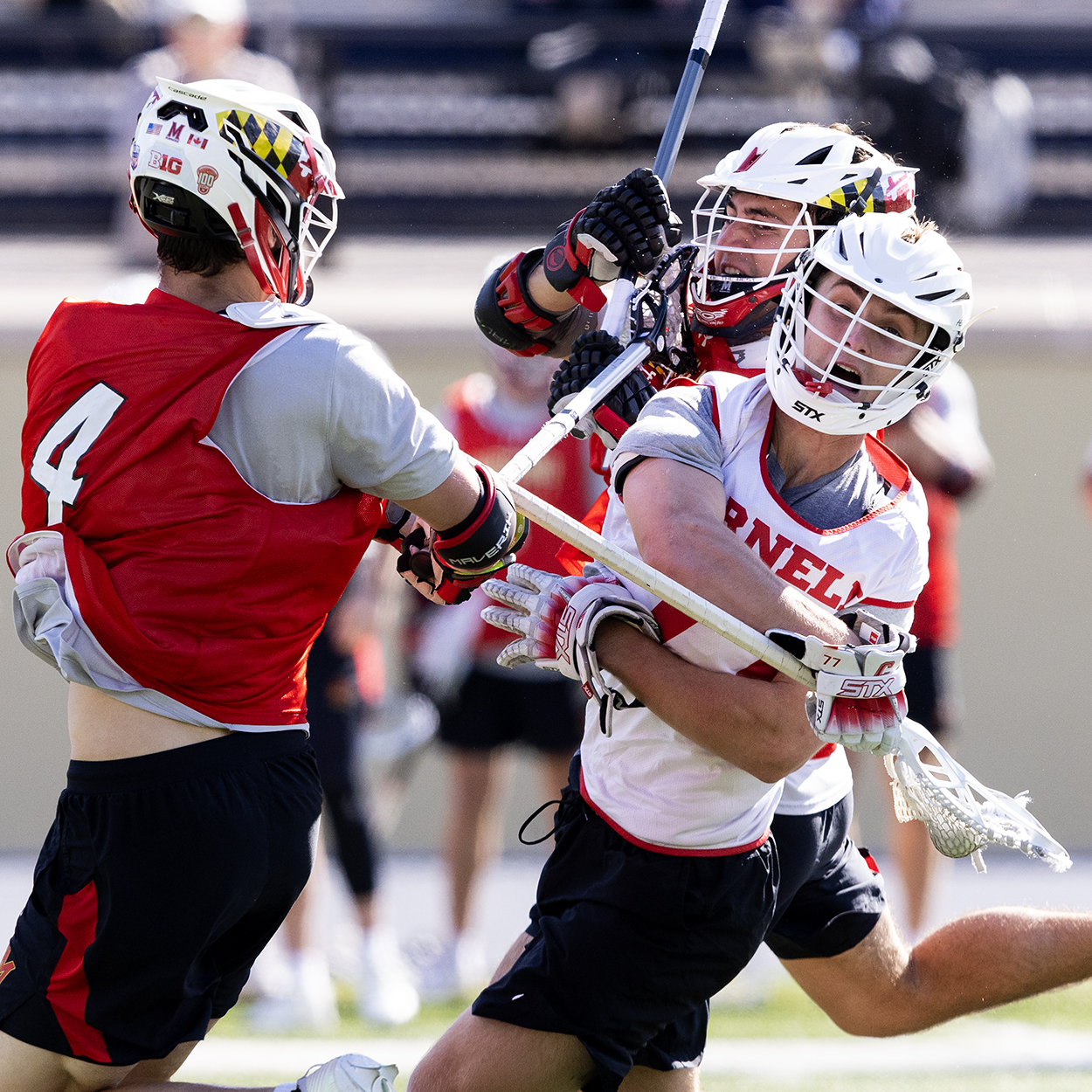 Action photo from Cornell - Maryland men's lacrosse scrimmage