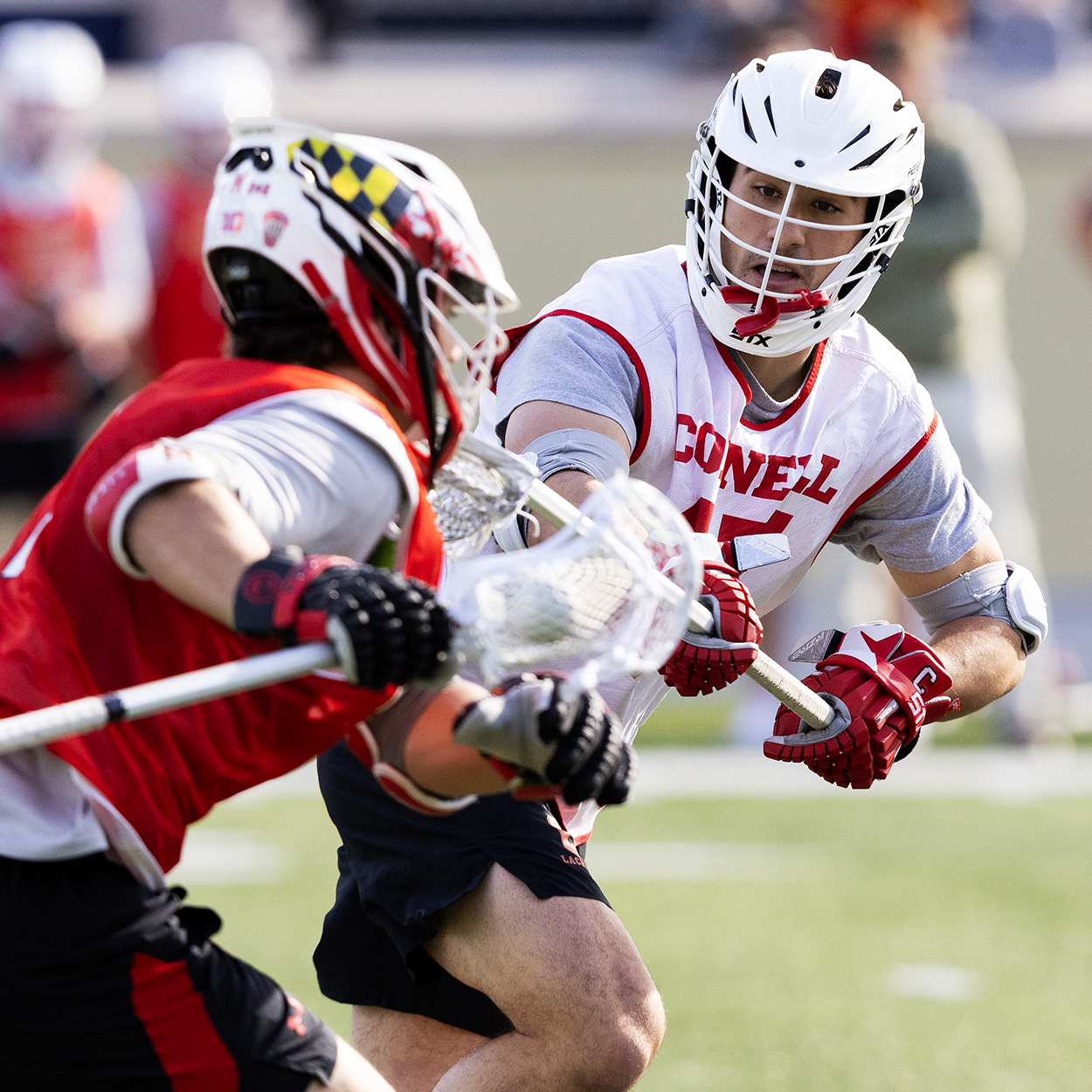 Action photo from Cornell - Maryland men's lacrosse scrimmage