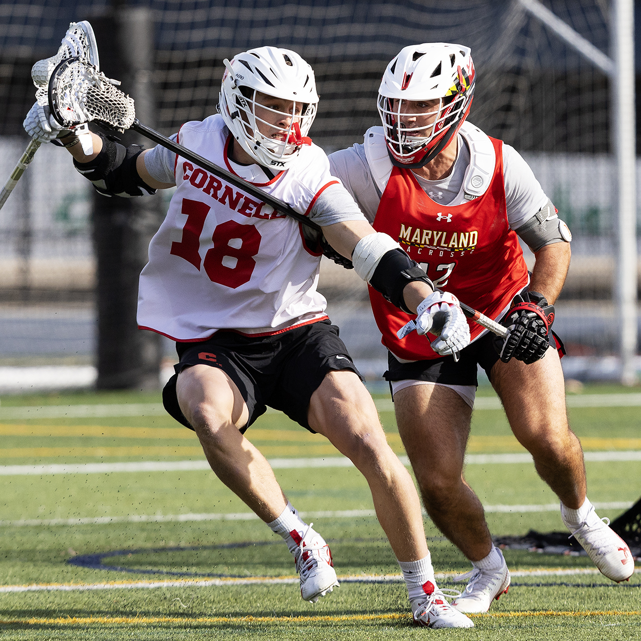 Action photo from Cornell - Maryland men's lacrosse scrimmage