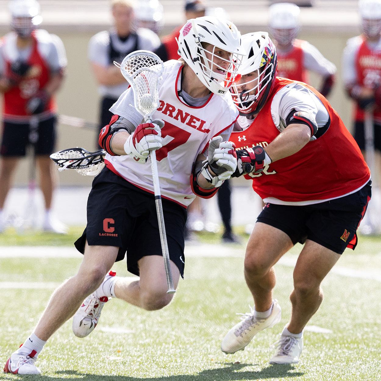 Action photo from Cornell - Maryland men's lacrosse scrimmage