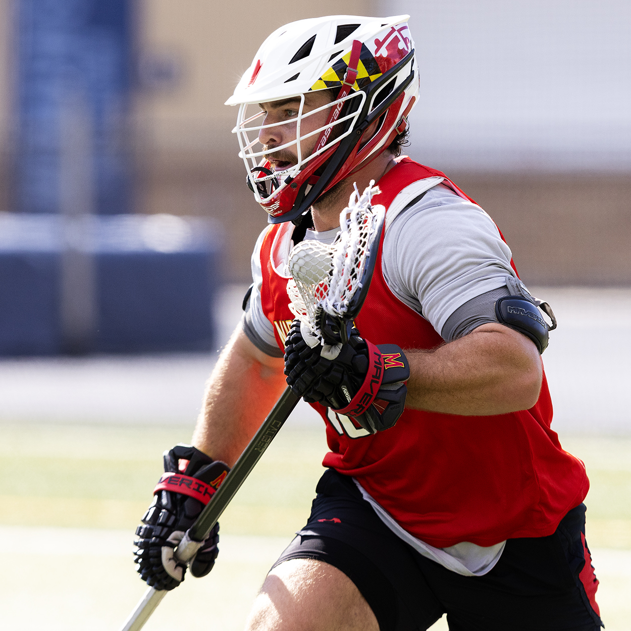 Action photo from Cornell - Maryland men's lacrosse scrimmage