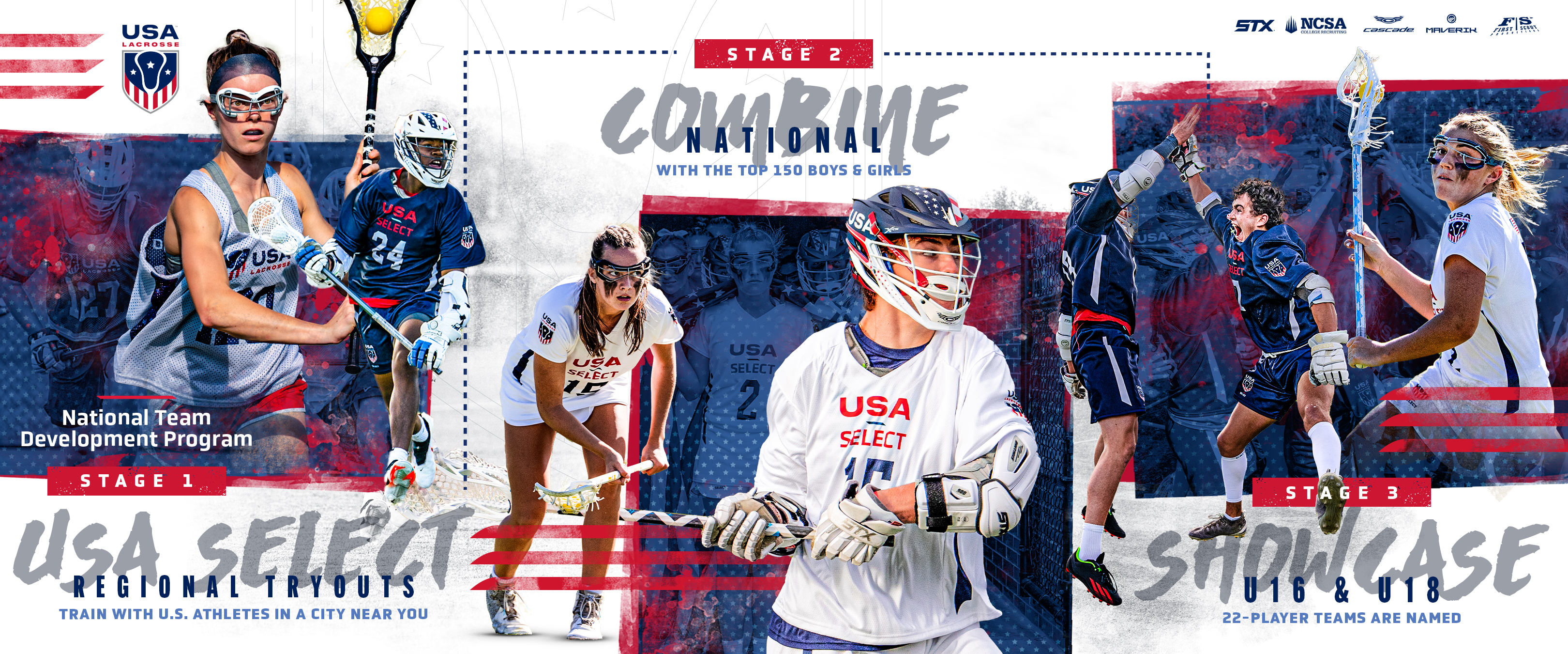 ntdp graphic