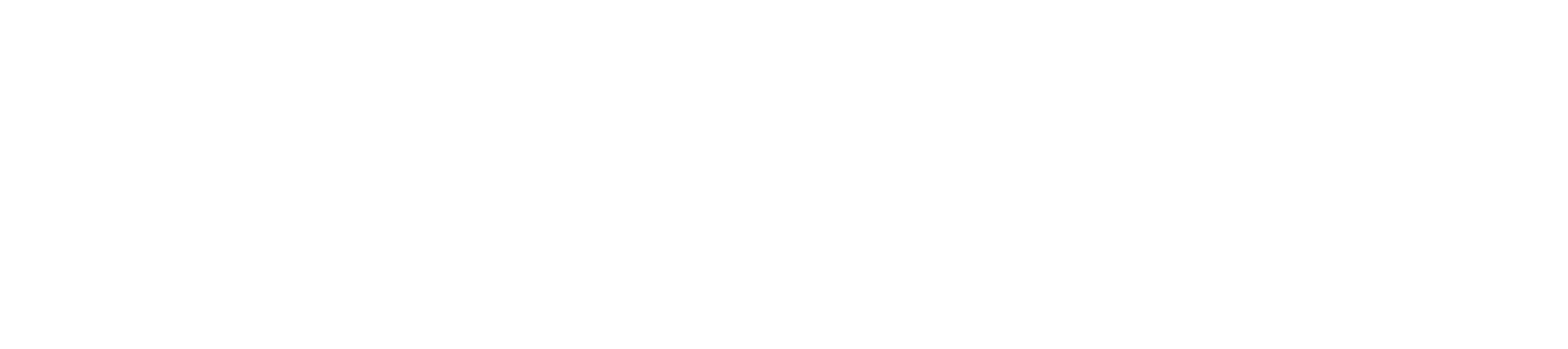 nxt logo