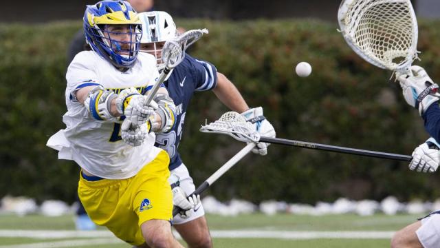 Tye Kurtz, Delaware
