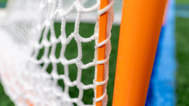 Stock photo of a lacrosse goal up close