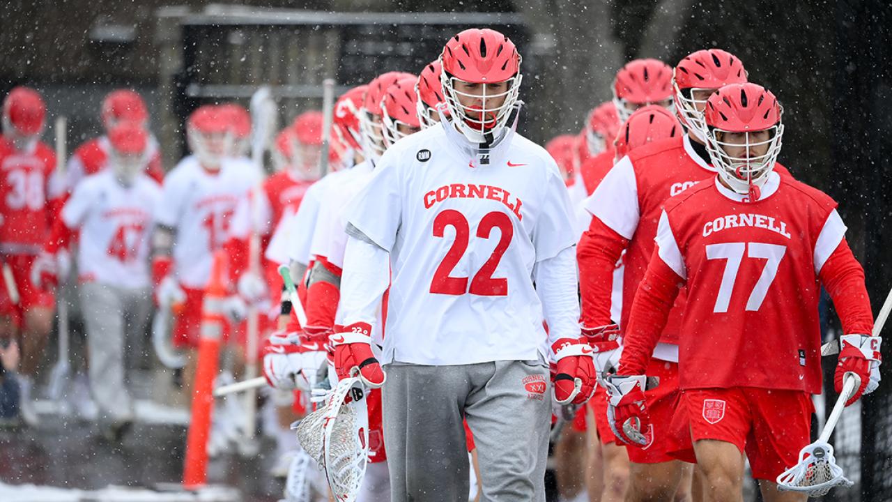 Cornell held Lehigh scoreless for the final 40-plus minutes of the game on Saturday, posting a 12-5 victory.
