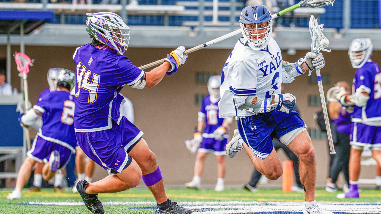 UAlbany at Yale men's lacrosse action photo